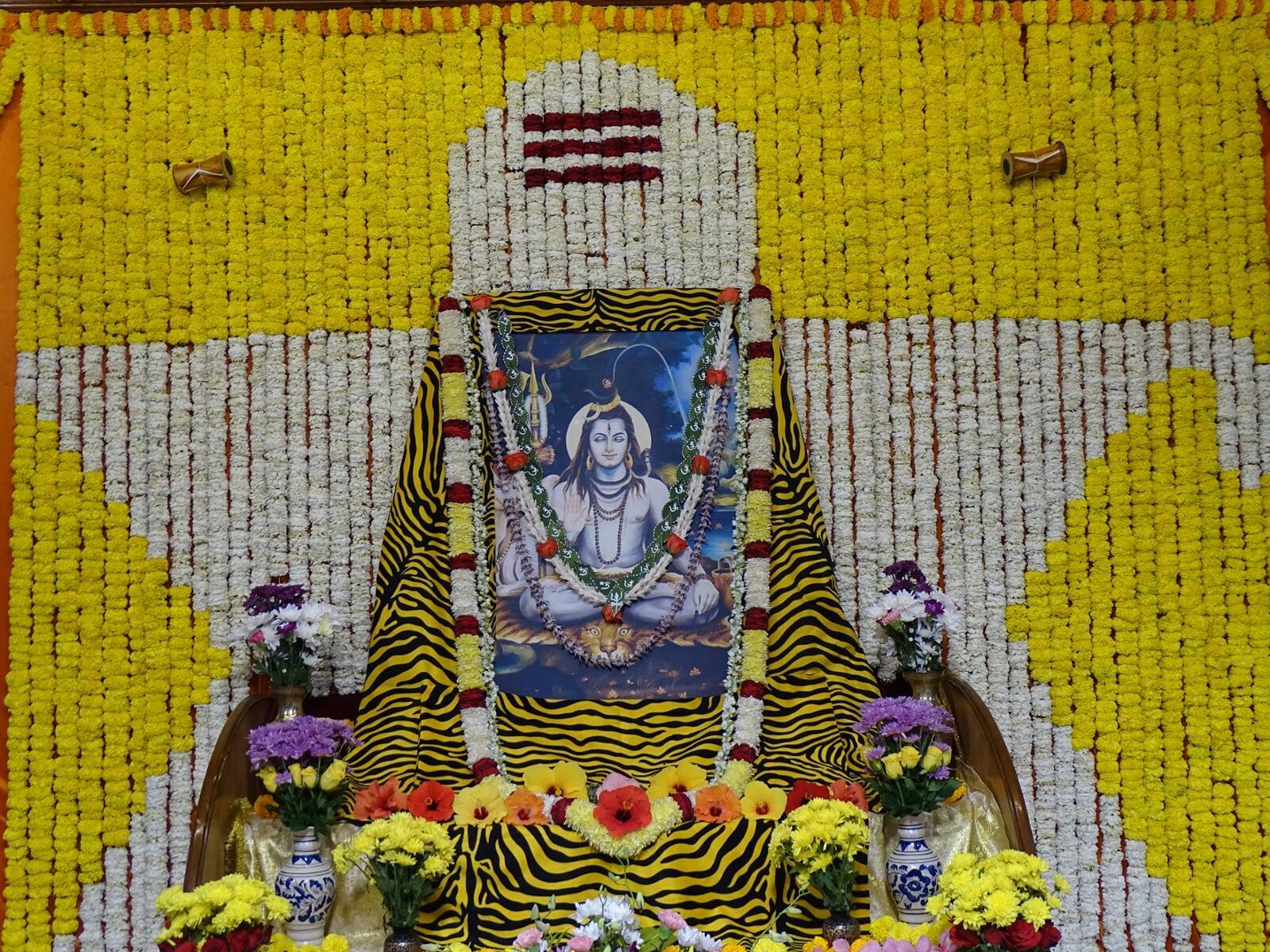 17th Serve India - Love India